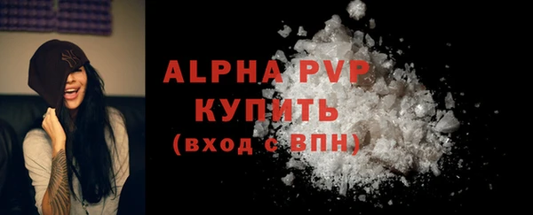 ПСИЛОЦИБИНОВЫЕ ГРИБЫ Переславль-Залесский
