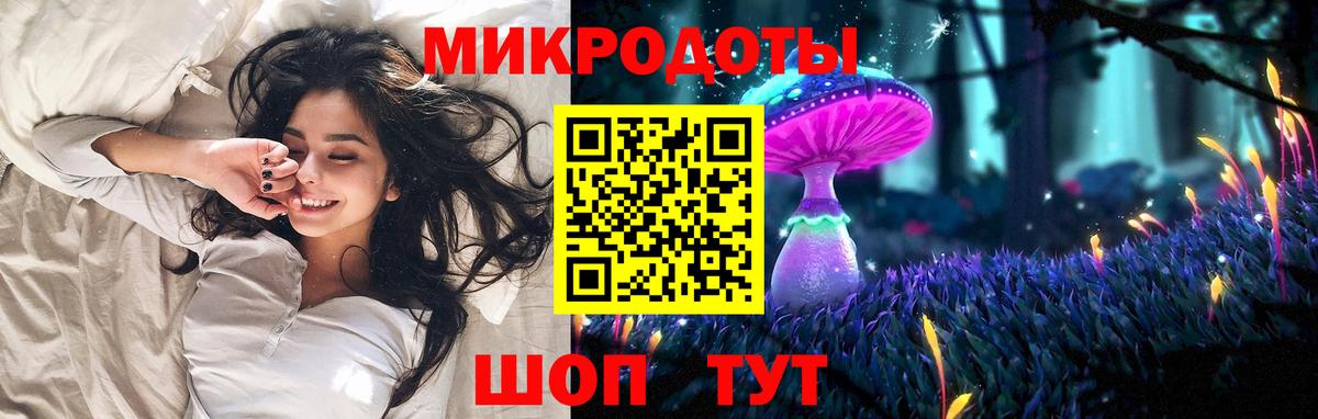Сухой Лог  Псилоцибиновые грибы Psilocybe  купить закладку  Вход с VPN 